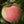 Pommier Goodland