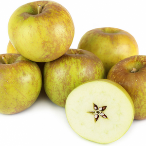 Pommier Golden Russet