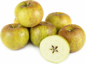 Pommier Golden Russet