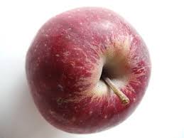 Apple tree September Ruby – Nutcracker Nursery & Tree Farm