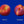 Harrovin Nova Nectarine