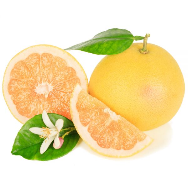 Grapefruit Trees