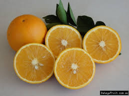 Orange Hamlin