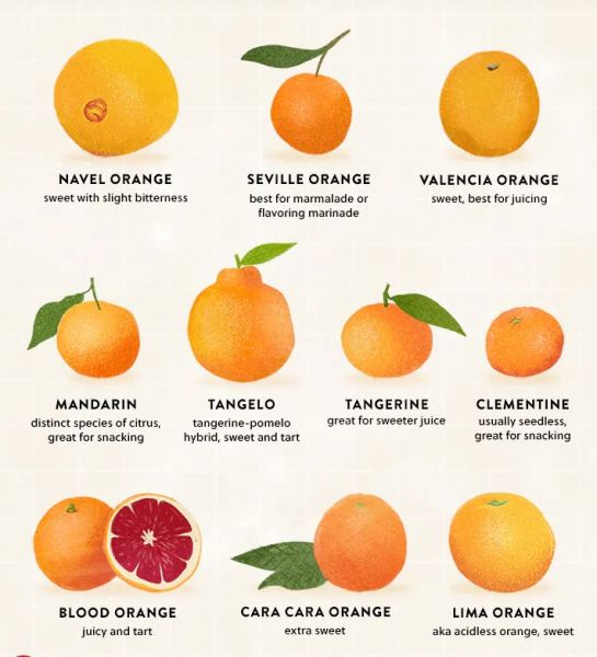 Orange Washington Navel Nain