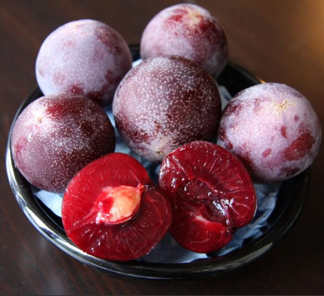 Plum trees