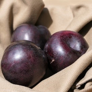 Pluot Flavor king Semi-dwarf