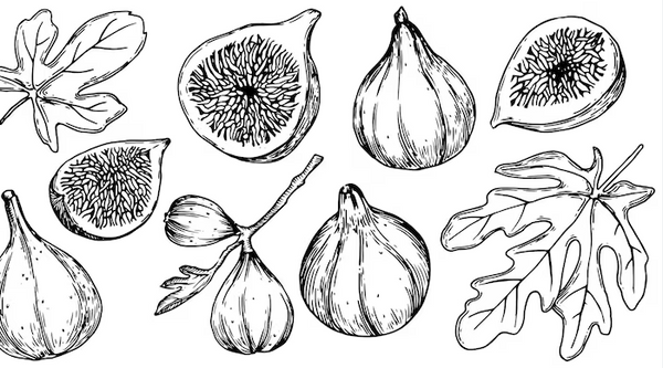 MYSTERY fig