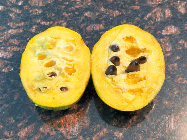 Pawpaw 'Grafted KSU Benson'