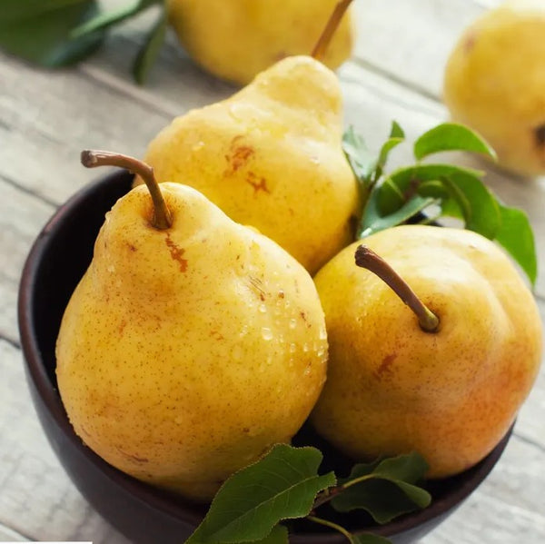 Pear Lorraine