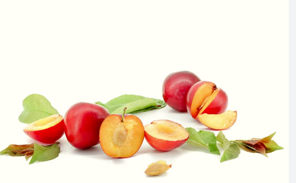 UNDERWOOD american hybrid plum SEMI-DWARF (MUSTANG)