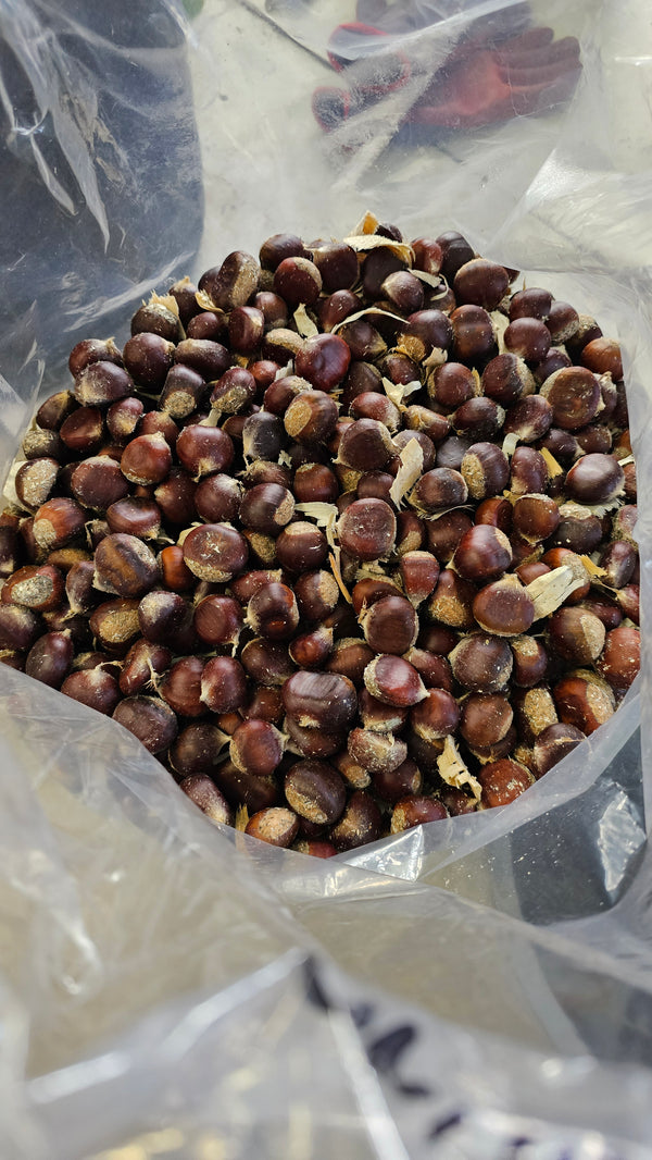 Pure Chinese Chestnut seeds (sold per unit) can be shipped anytime