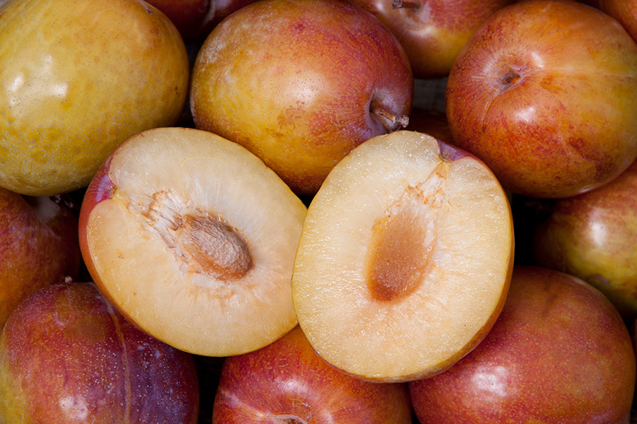 Plum trees
