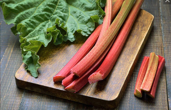 Rhubarb 'German Wine'