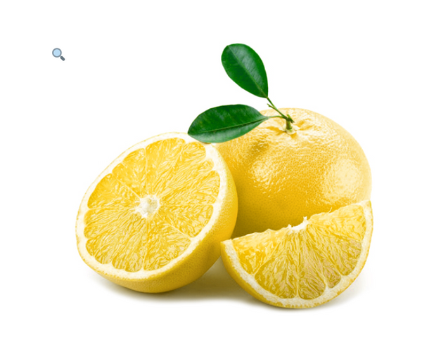Grafted 'MARSH' Grapefruit