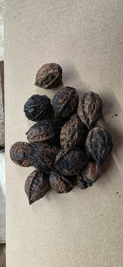 Nut to eat, seeds and other products
