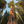GIANT SEQUOIA