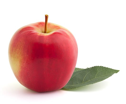 Apple SUNRISE Semi-Dwarf
